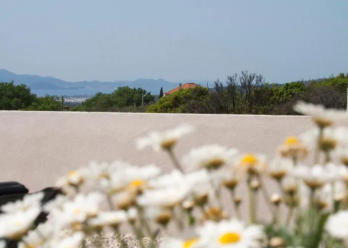 فيلة Karmen Debeljak